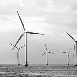 Offshore Wind Market Delivers Success for Montrose Port Authority