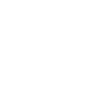White logo with abstract shapes above the words Montrose PORT AUTHORITY on a light grey background.