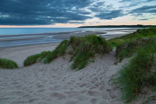 A sandy beach with green dunes in the foreground, calm water and flat wet sand in the distance, under a cloudy sky at dusk or dawn.